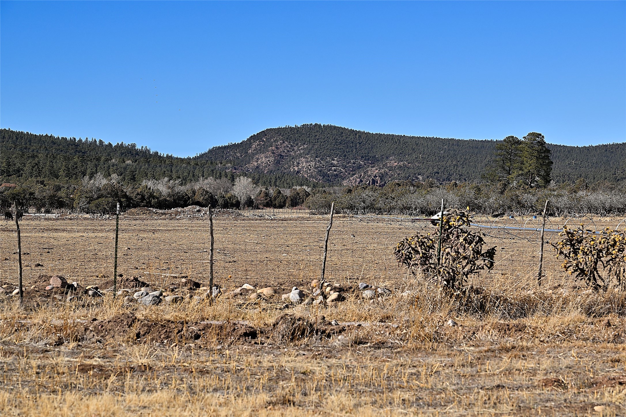 209A State Road 110, El Rito, New Mexico image 33