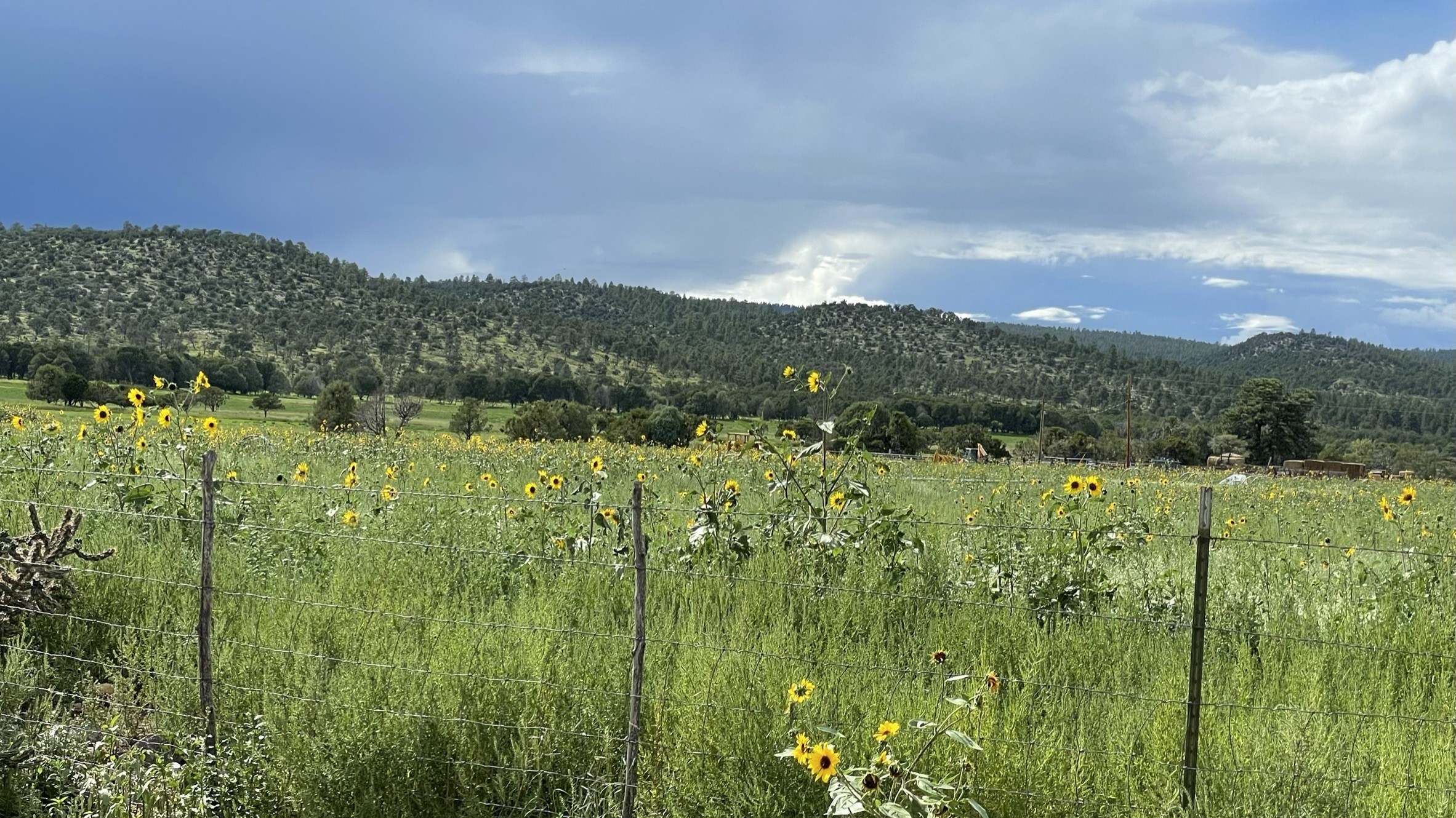 209A State Road 110, El Rito, New Mexico image 45