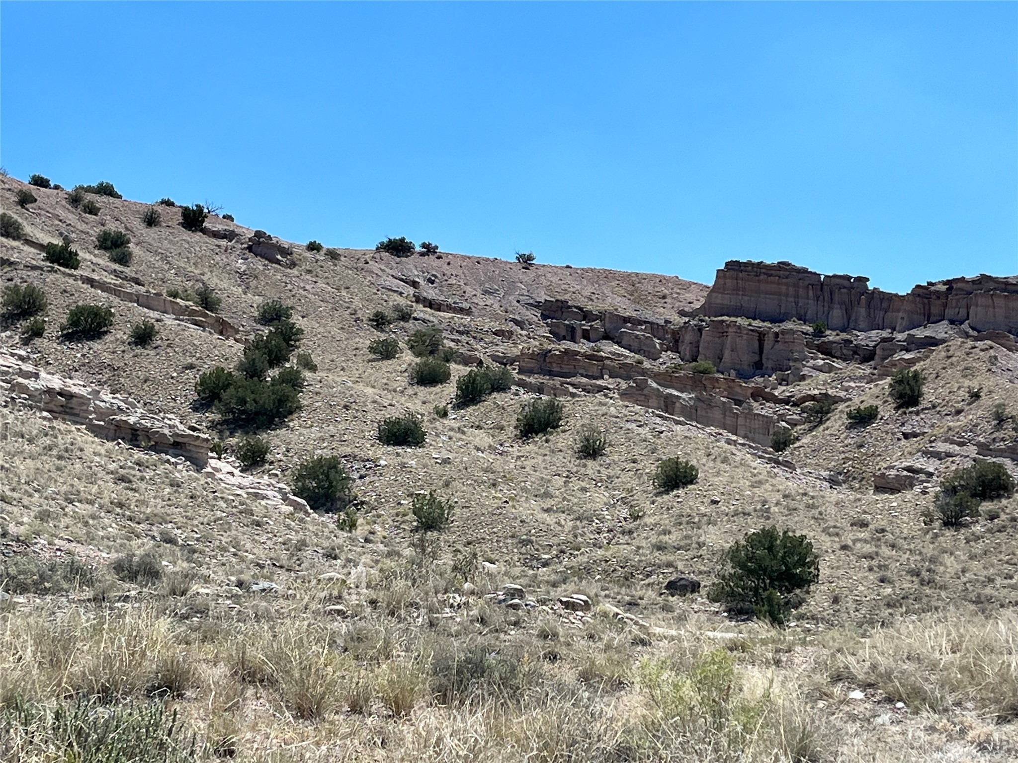 County Rd 158 Tbd, Abiquiu, New Mexico image 6