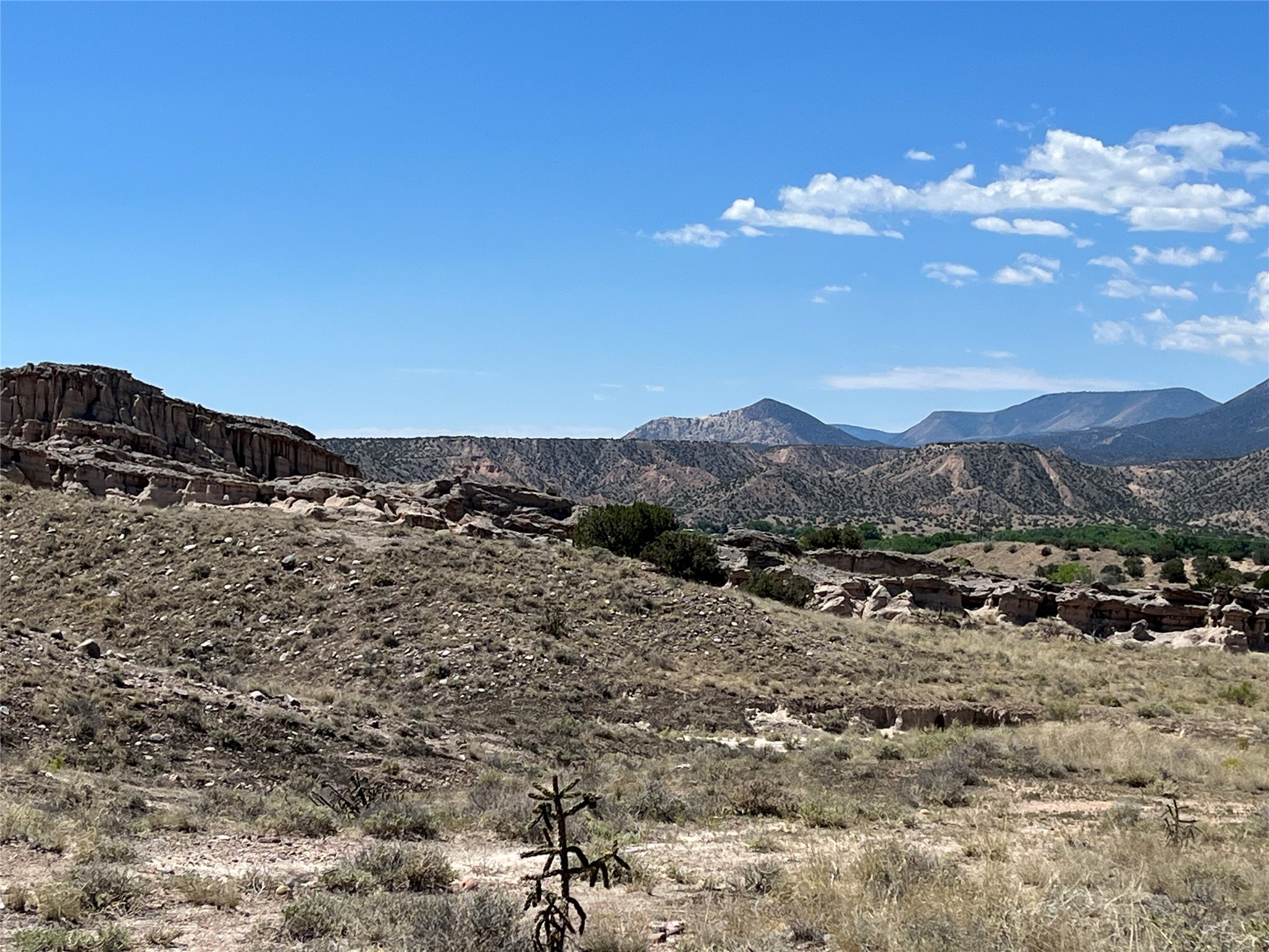 County Rd 158 Tbd, Abiquiu, New Mexico image 14