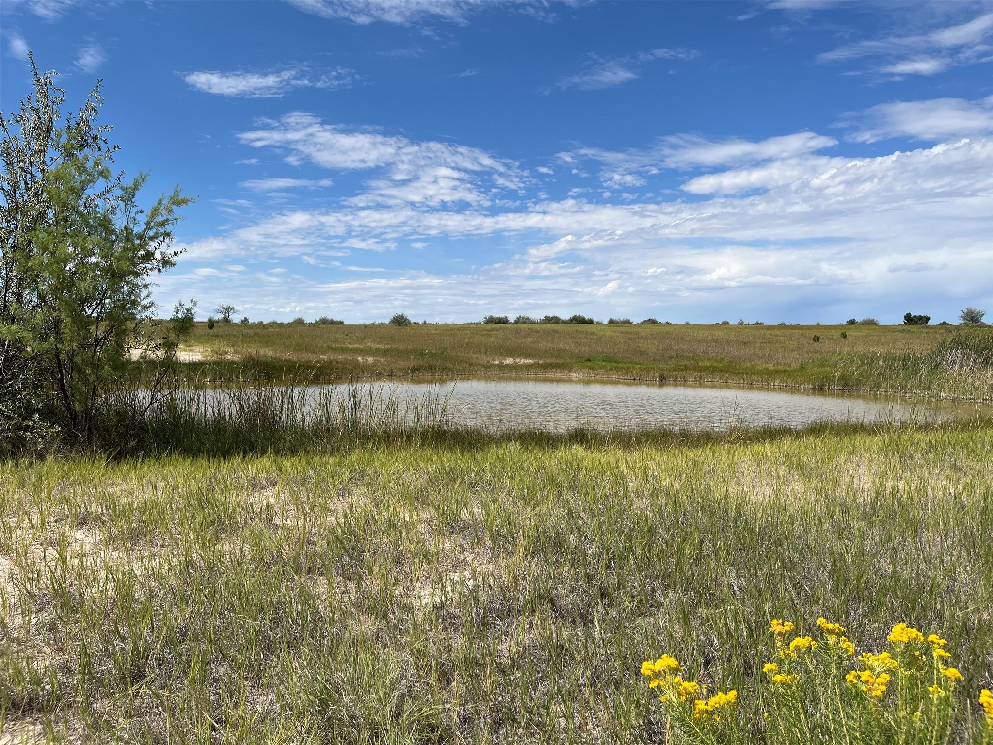 1017 River Rd Rd, Santa Rosa, New Mexico image 14