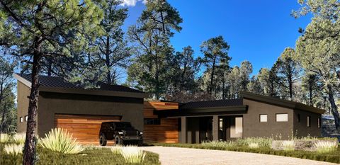 Vacant Land For Sale - 21 Los Nidos Lane<br/> Pecos, NM 87552