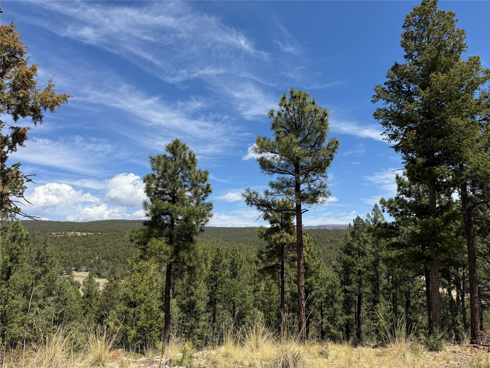 21 Los Nidos Lane, Pecos, New Mexico image 3