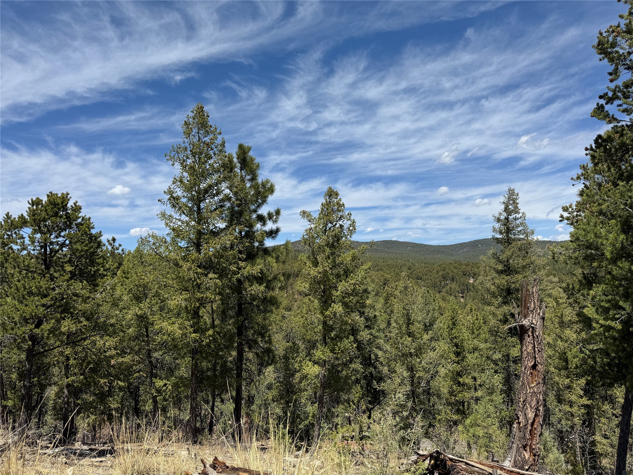 21 Los Nidos Lane, Pecos, New Mexico image 4