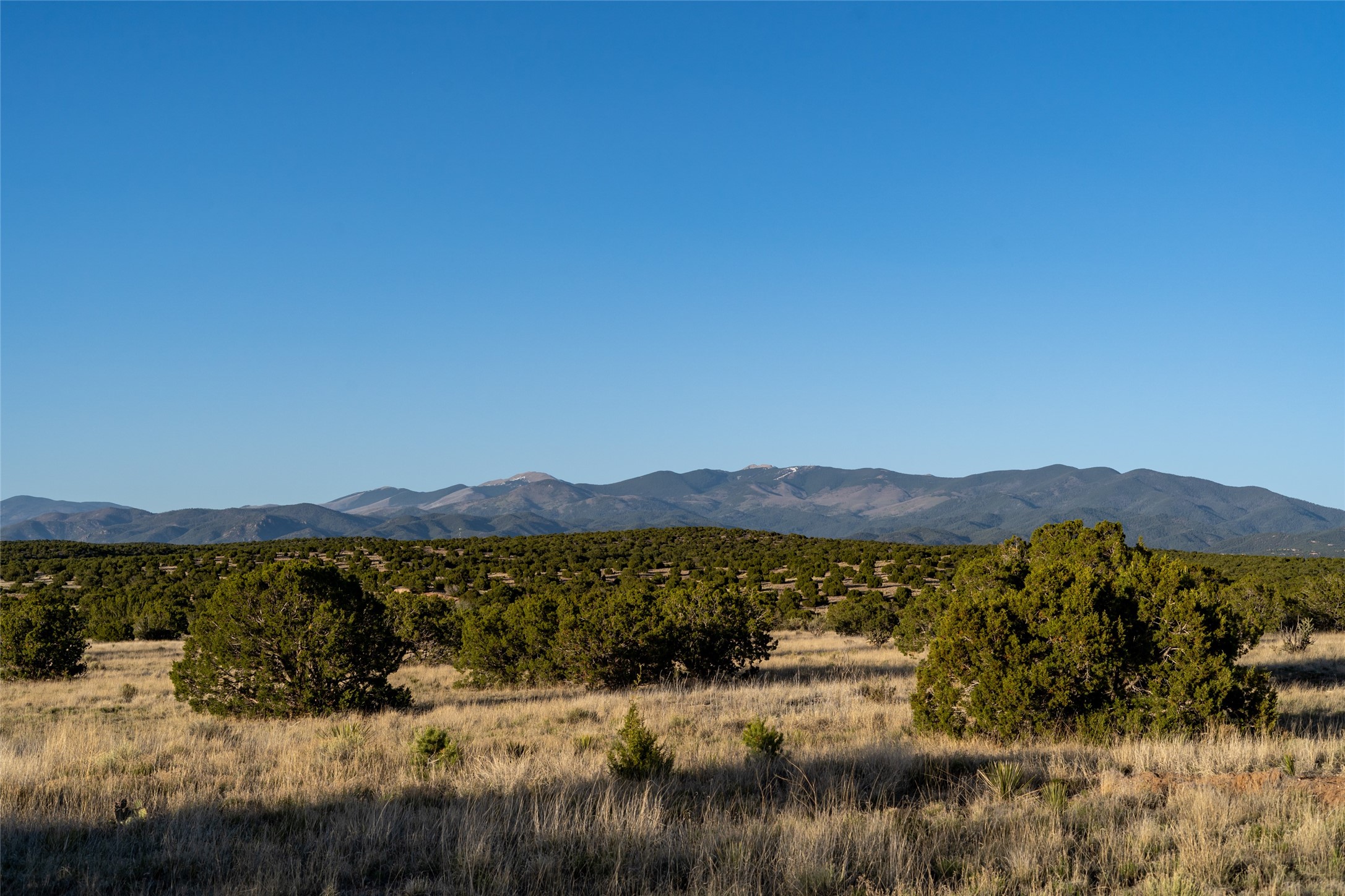 Camino La Tierra, Santa Fe, New Mexico image 4