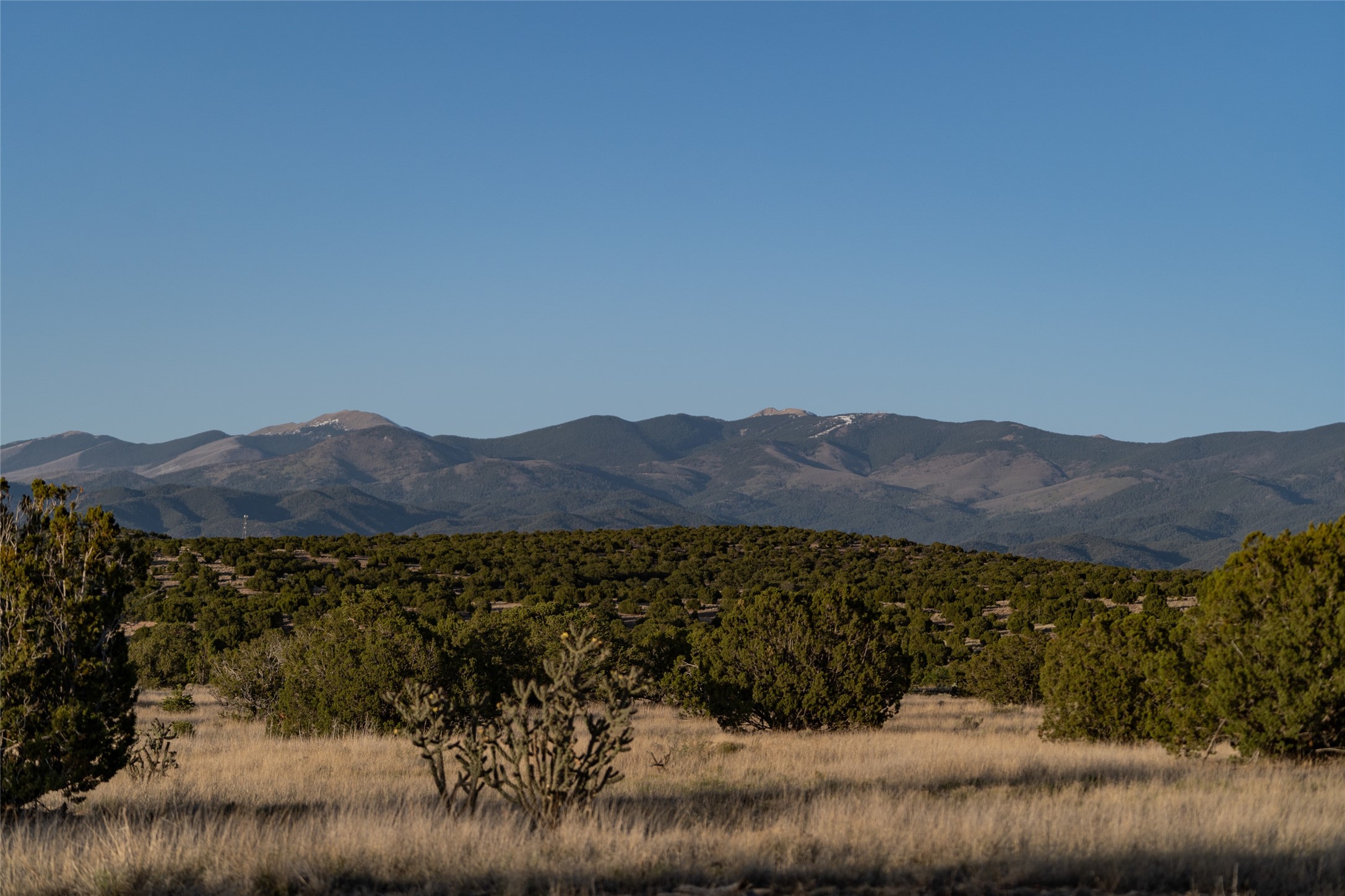 Camino La Tierra, Santa Fe, New Mexico image 9