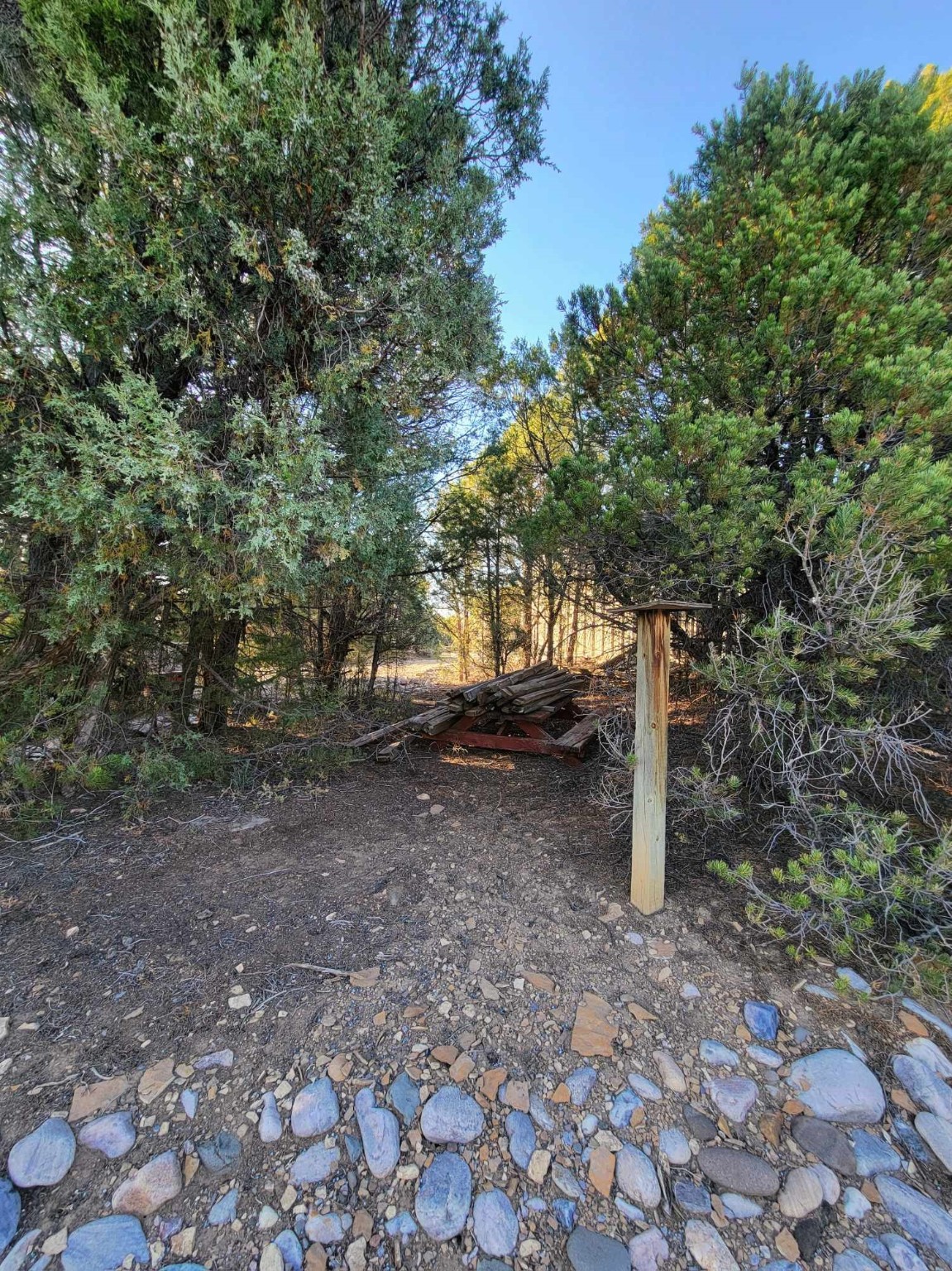 5 Oak Brush Lane, Tierra Amarilla, New Mexico image 29