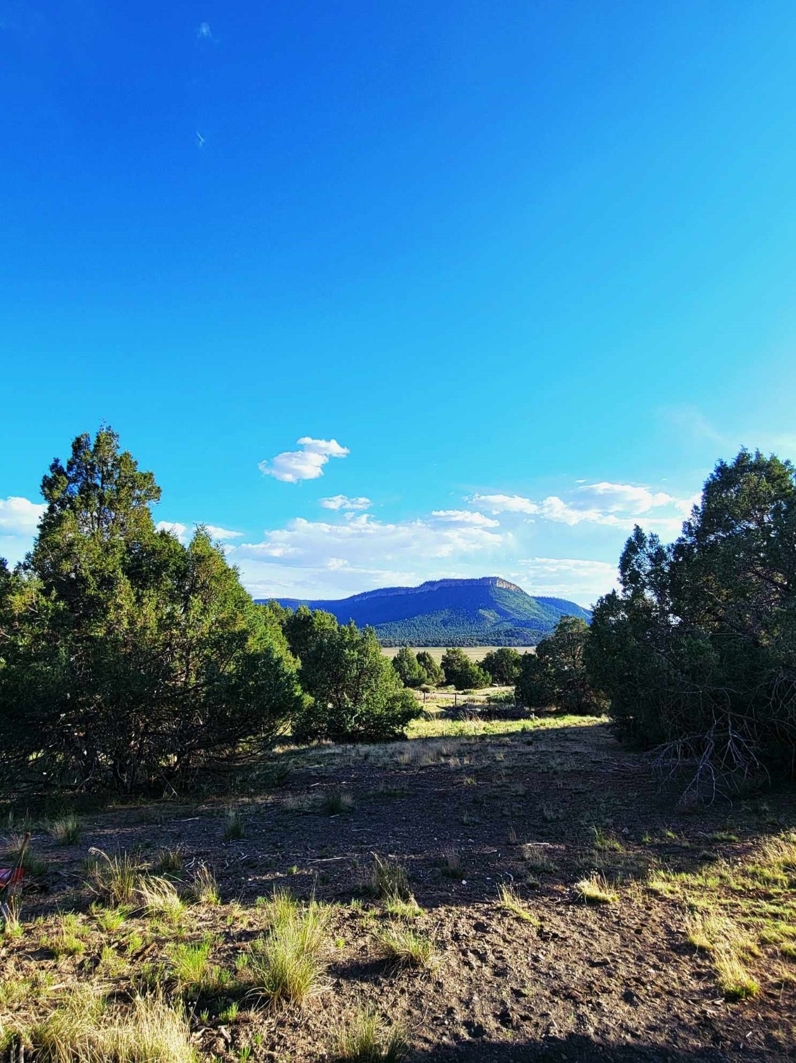 5 Oak Brush Lane, Tierra Amarilla, New Mexico image 20