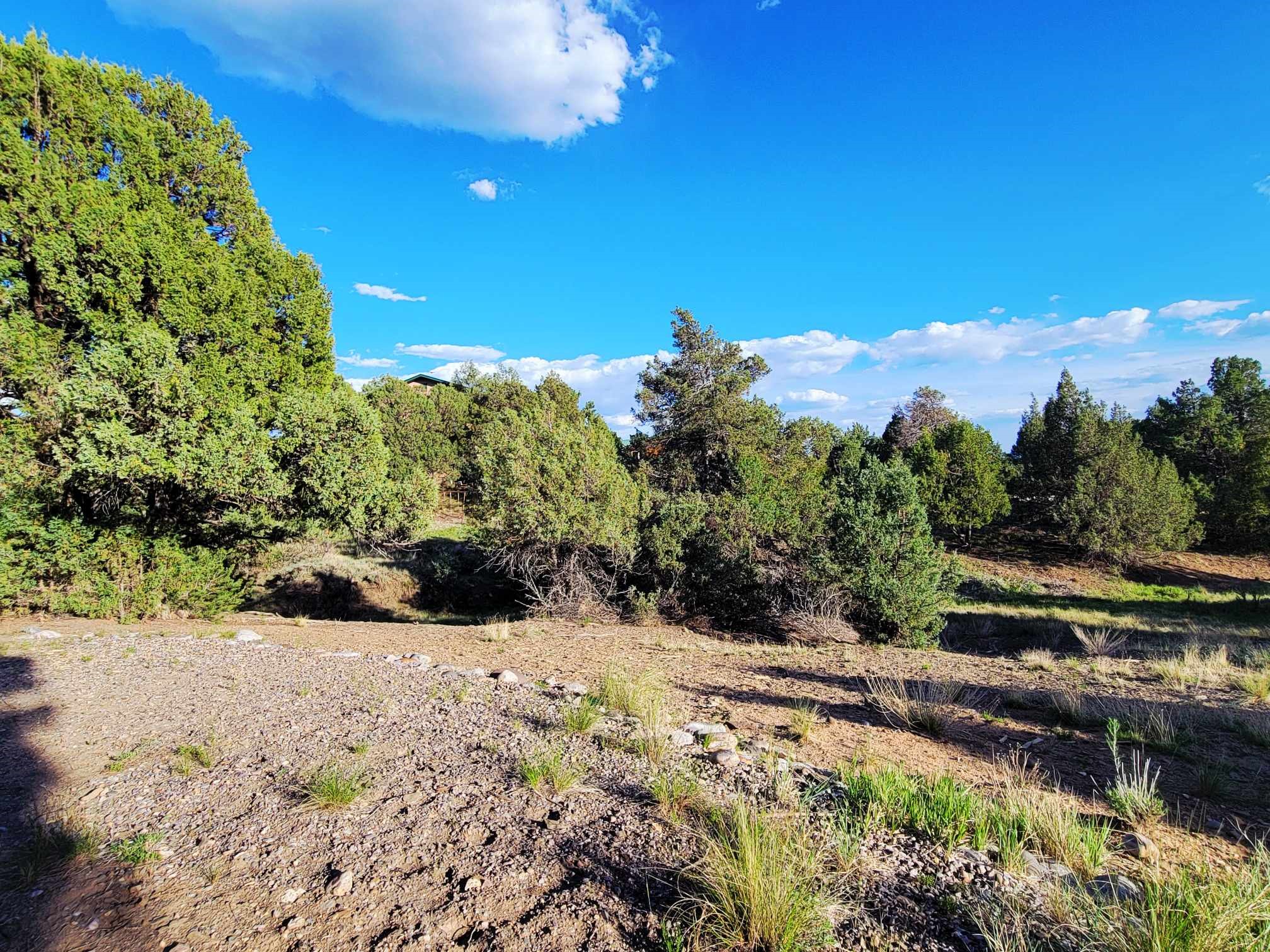 5 Oak Brush Lane, Tierra Amarilla, New Mexico image 11