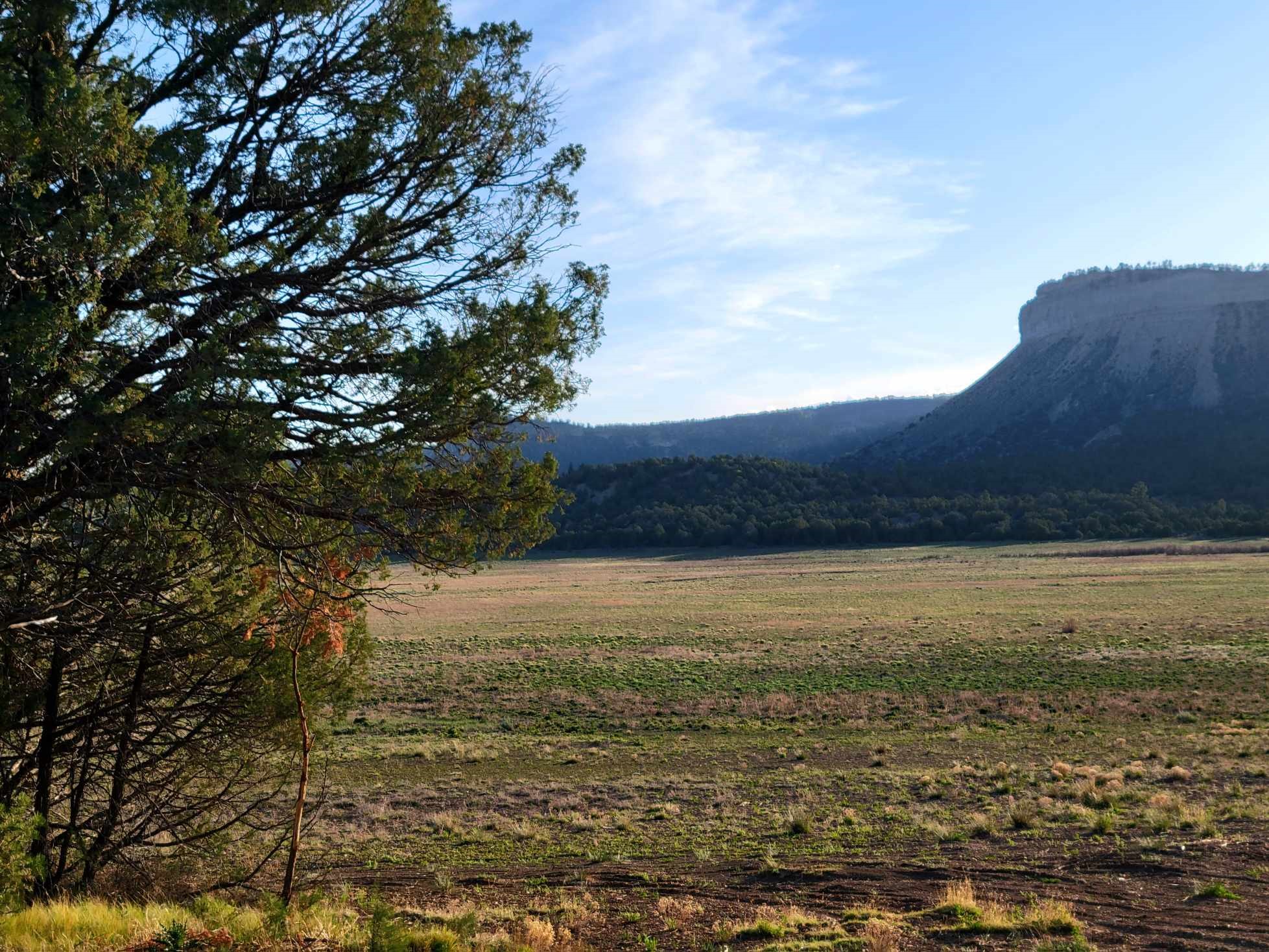 5 Oak Brush Lane, Tierra Amarilla, New Mexico image 3