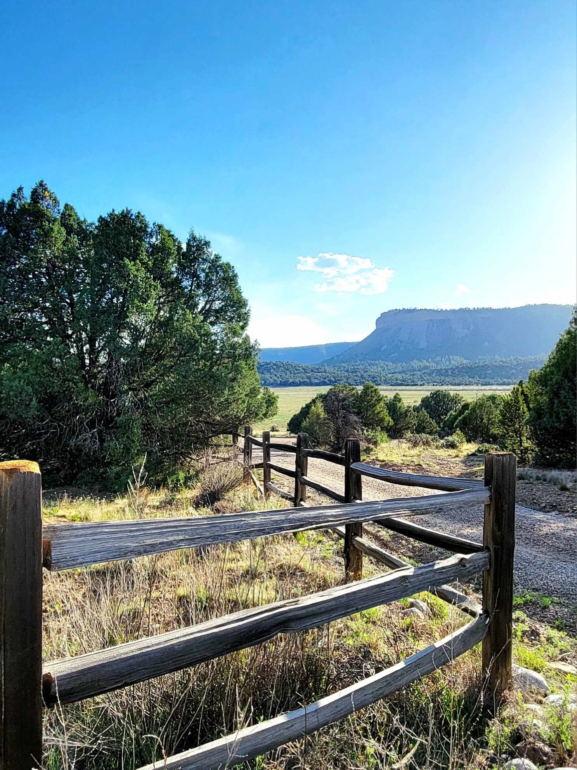5 Oak Brush Lane, Tierra Amarilla, New Mexico image 4