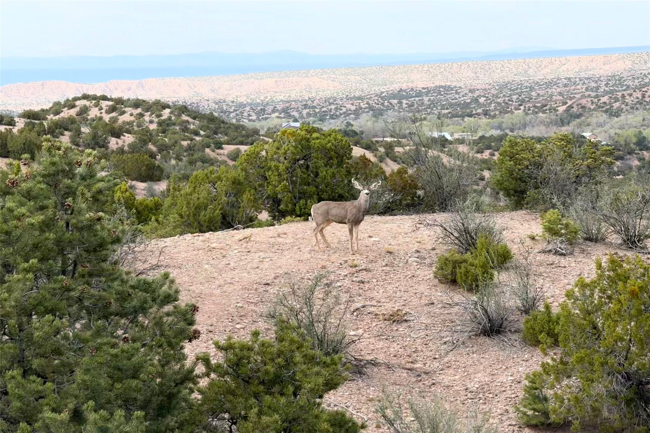 21 Yana Drive #LOT 8, Santa Fe, New Mexico image 3