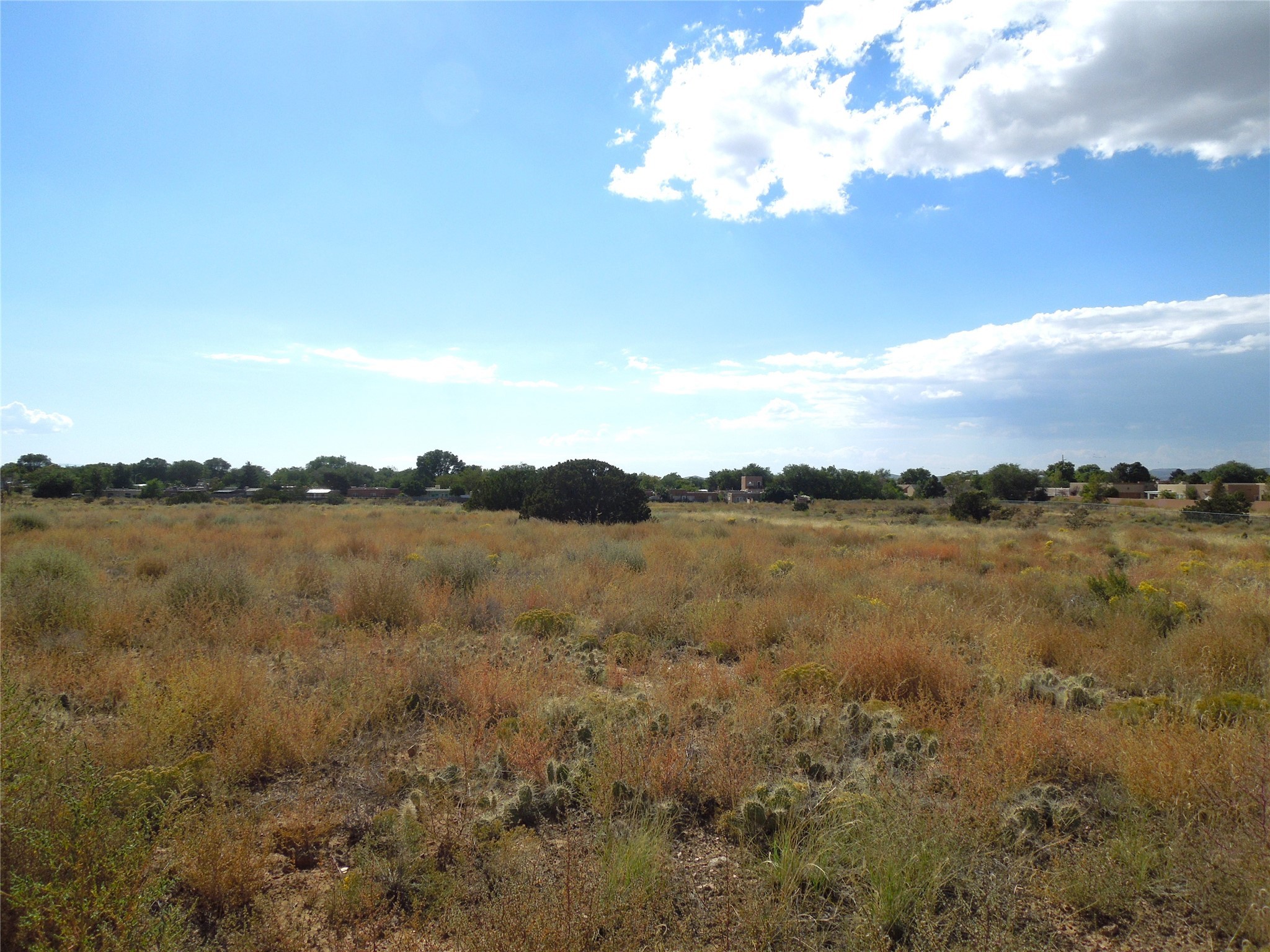 South Meadows Road, Santa Fe, New Mexico image 5