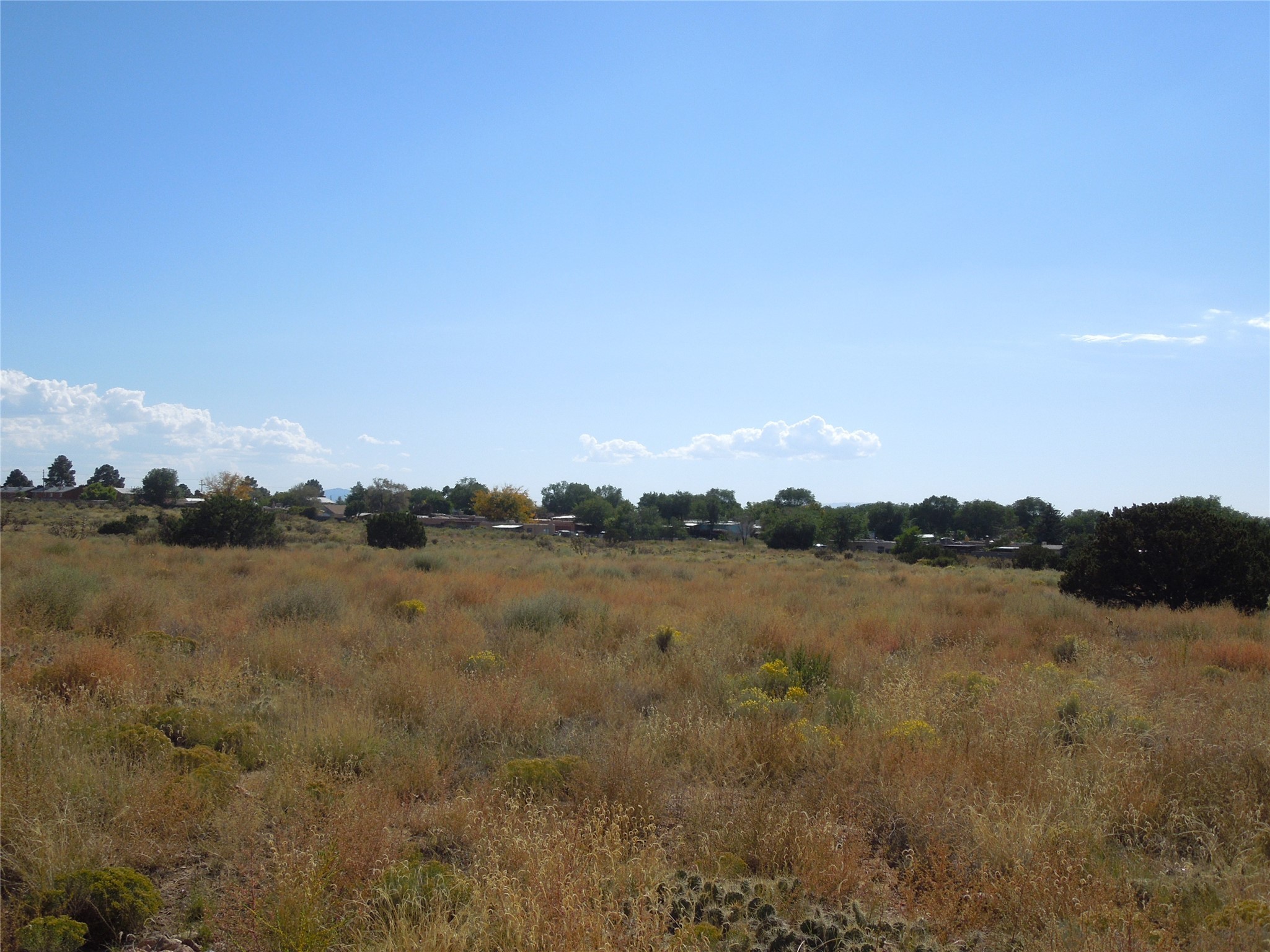 South Meadows Road, Santa Fe, New Mexico image 3