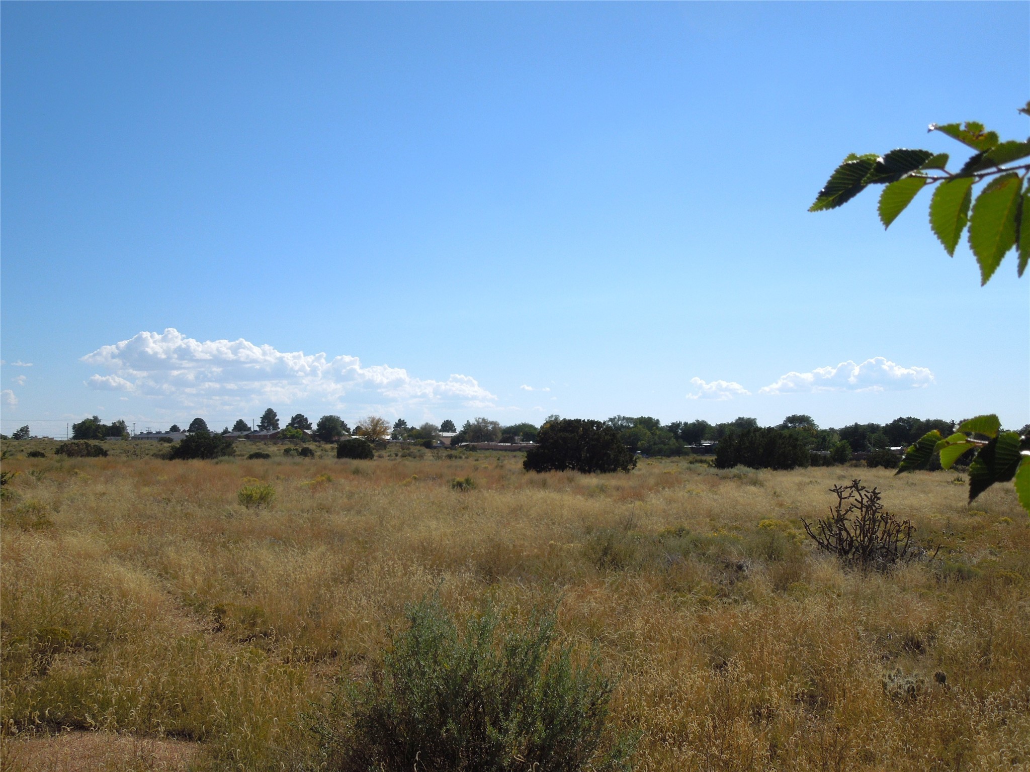 South Meadows Road, Santa Fe, New Mexico image 2