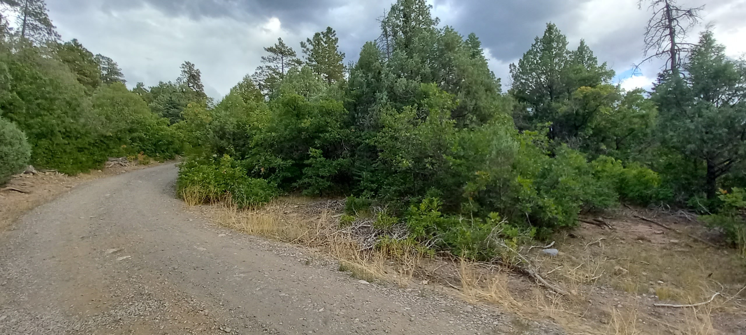 1781, Chama, New Mexico image 5