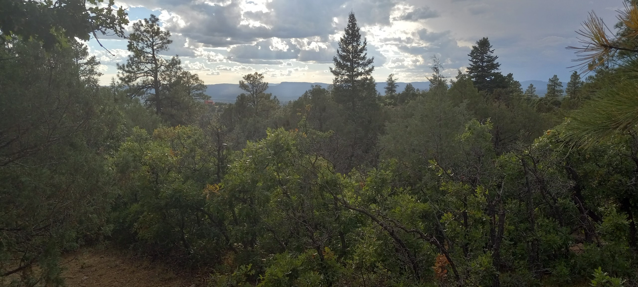 1781, Chama, New Mexico image 2