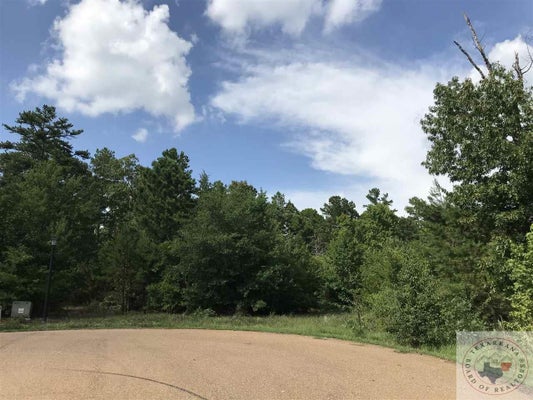 602 STONERIDGE DR, QUEEN CITY, TX 75572 - Image 6aecf55f67761fdf4373e401ecd2febb/3730417661
