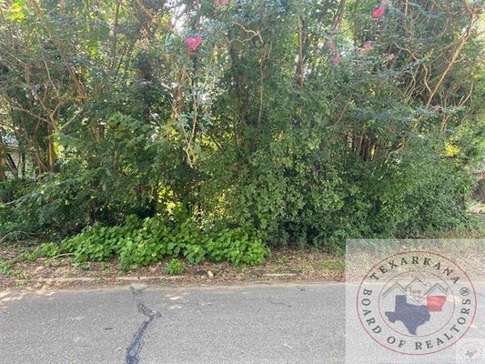 321 READING AVE, TEXARKANA, TX 75501 - Image 7ff4e0e90bc386a7bdb22e940be434fa/3144730484