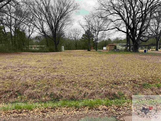 1309 WEST ST, TEXARKANA, TX 75501 - Image f603dc900c14fb88ac5bbac5bc1bc351/598863111