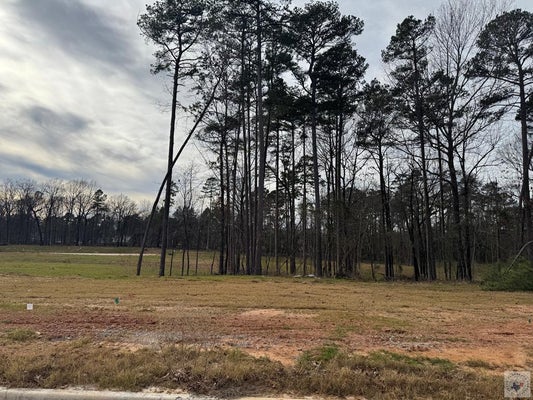 ANN ST, TEXARKANA, TX 75501 - Image 13d2f27a202febc757fcbc9cba7313de/262274367
