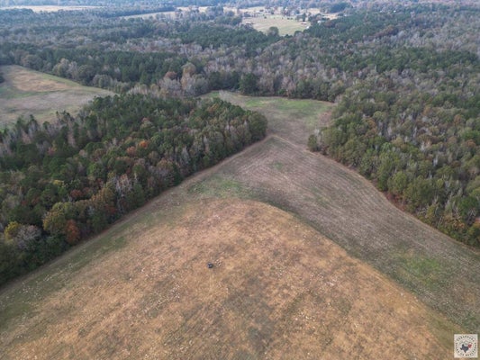 ADDRESS PRIVATE, FOUKE, AR 71837 - Image 1d78d28450fa19a5f1c873b5fd53a2ef/1902871043