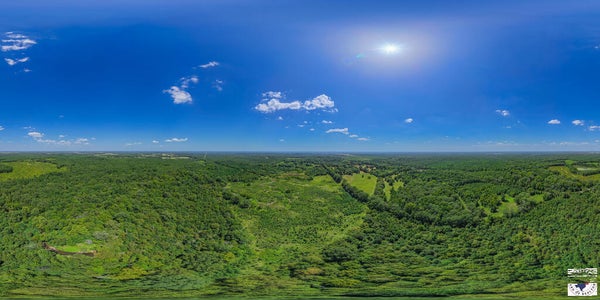 5695 COUNTY ROAD 4116, SIMMS, TX 75574 - Image 4b8085f79c02a09b060fe02c2aa28fc2/3111840799