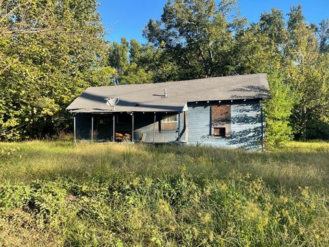 Photo of 523 Logan St, Texarkana, AR 71854 (MLS # 200318)