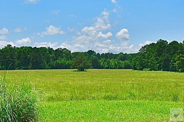 E BROAD ST, TEXARKANA, AR 71854 - Image 5a72b2fcd4041ff3f57dbc0943a815ef/707675677