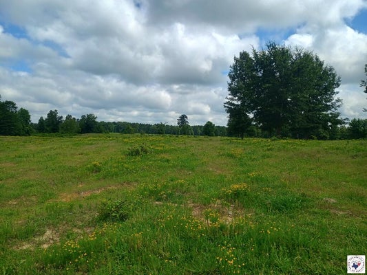 ADDRESS PRIVATE, SIMMS, TX 75574 - Image 6d26875f1ff3146d8e98c25b1fcd7dd2/2314516009