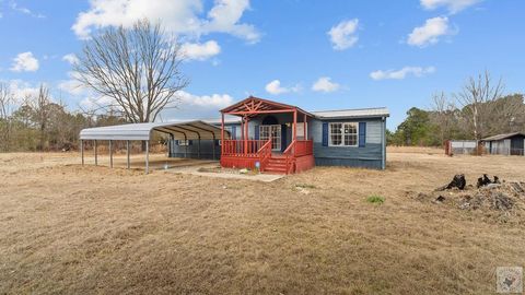 Photo of 820 County Road 3676, Queen City, TX 75572 (MLS # 203167)