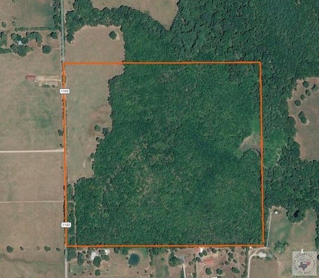 ADDRESS PRIVATE, MAUD, TX 75567 - Image 86eb5df0baa67d67f4d07c4c6e7343db/2429070834