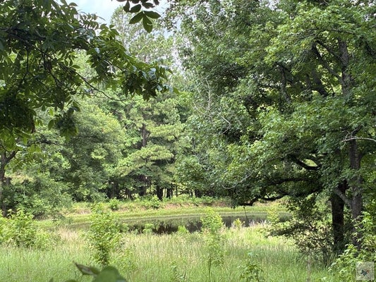 5 SMITH DR, TEXARKANA, AR 71854 - Image ad2c37fdeb948124da7bd9eaef43f34e/2564573408