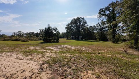 Photo of 85 County Road 1145, Atlanta, TX 75551 (MLS # 200420)