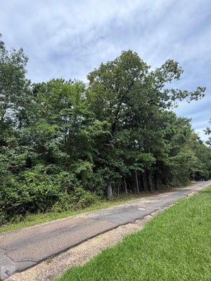4529 PARKER LN, TEXARKANA, AR 71854 - Image bcce7cbefb162abeb6e48f5af2d18c7d/633393344