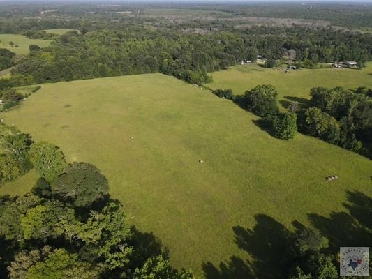 4221 FM 114, AVERY, TX 75554 - Image be89151f28ffda285bfcad60fc07486a/2859583884