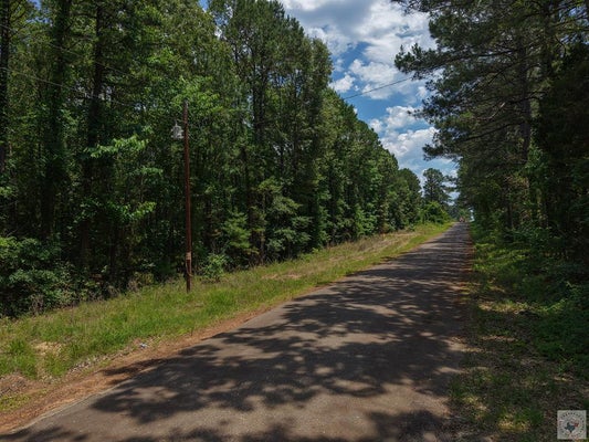 168 COUNTY RD 4452, BIVINS, TX 75555 - Image c2c57e809cfdaed595fc9fe91a4de5de/2724855349