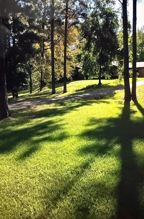 Photo of 217 Southlake Rd, Saratoga, AR 71859 (MLS # 200462)