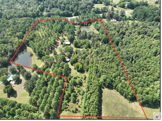 20 COUNTY RD 1766, JEFFERSON, TX 75657 - Image dfe00f5c13bca078ebfe5ea3b7bc037d/2936267560