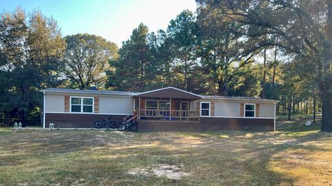 Photo of 2946 Cr 4668, Bivins, TX 75555 (MLS # 200330)