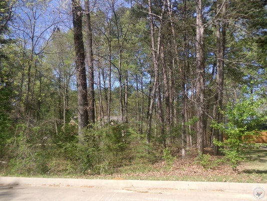 FOREST LAKE DR, TEXARKANA, TX 75503 - Image fcb43d7fd07ce57bacfe93d16b629ffa/136784111