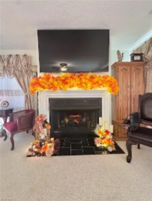 14 Sandie Point LN - Photo 4