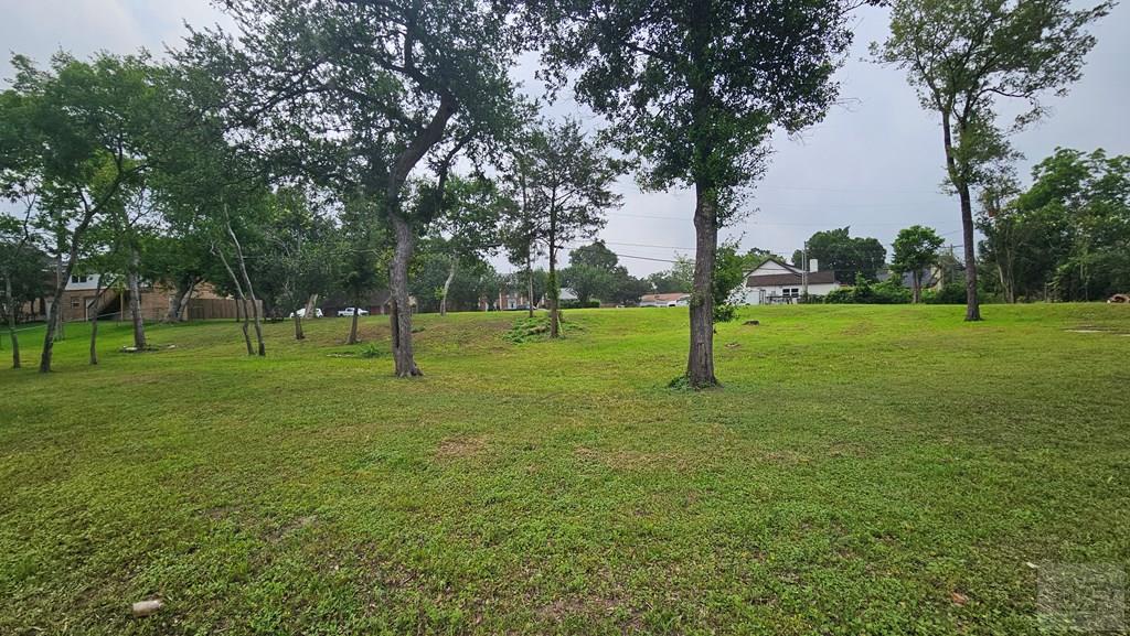 205 Old Bayou Dr, DICKINSON, Texas image 4