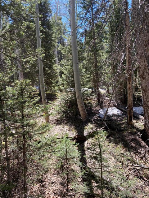 Photo of 433 Juniper Drive, Cimarron, CO 81220 (MLS # 40527)