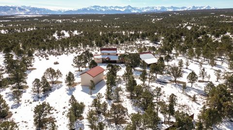 Photo of 948 Sage Road, Montrose, CO 81403 (MLS # 44288)