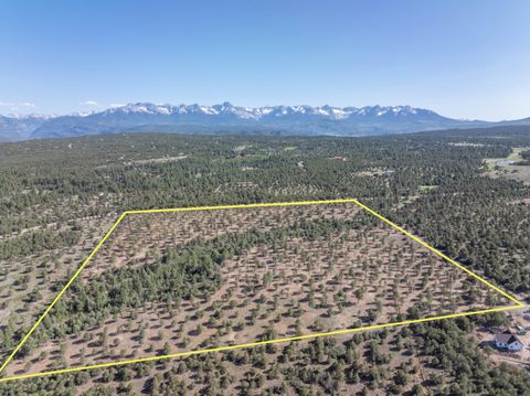 Photo of Ponderosa Dr, Ridgway, CO 81432 (MLS # 43663)