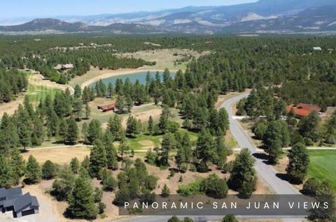 Photo of 1640 Marmot Drive, Ridgway, CO 81432 (MLS # 44303)