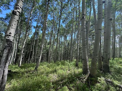 Photo of 583 Crest Drive, Cimarron, CO 81220 (MLS # 43855)