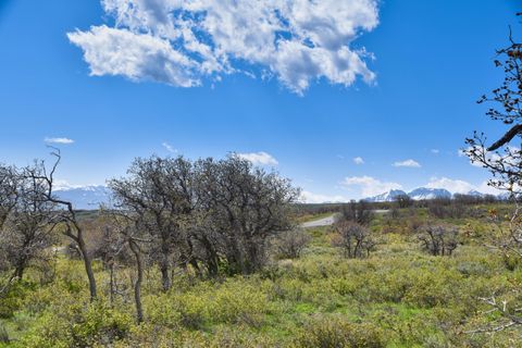Photo of 1115 Cornerstone Loop, Montrose, CO 81403 (MLS # 43880)