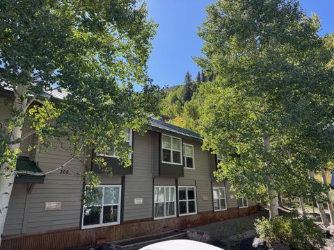 Photo of 333 S Davis Street #315 & 317, Telluride, CO 81435 (MLS # 43972)